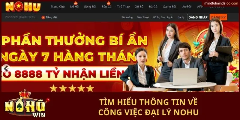 Tìm hiểu thông tin về công việc đại lý Nohu